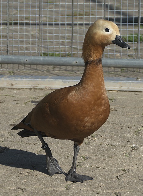 再次证明