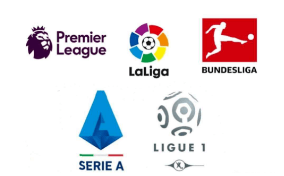 导和资金投 导和资金投